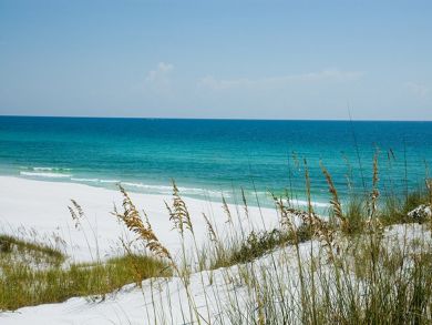 Beaches Of South Walton Condo 890647